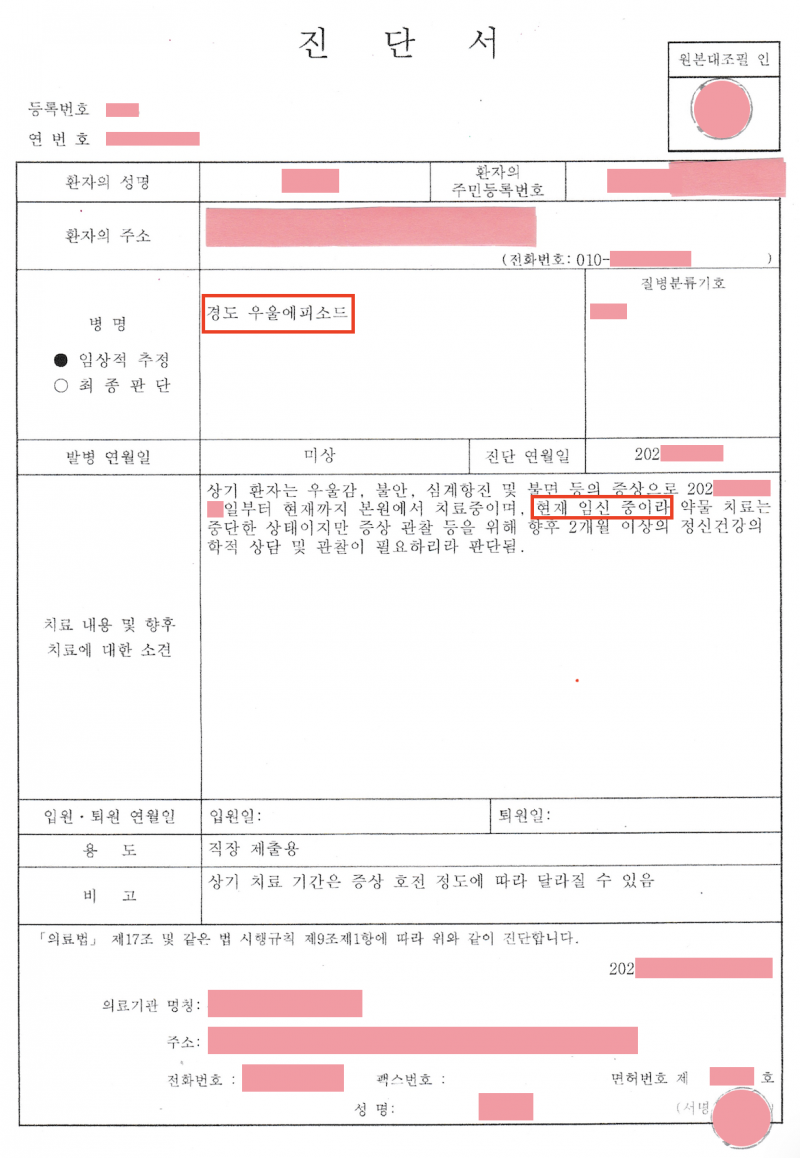 실제 의뢰인 진단서 증거